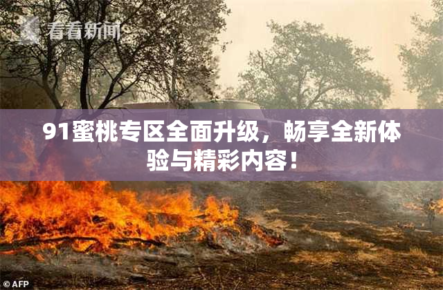 91蜜桃专区全面升级，畅享全新体验与精彩内容！