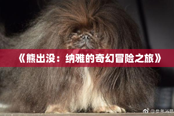 《熊出没：纳雅的奇幻冒险之旅》