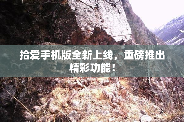 拾爱手机版全新上线，重磅推出精彩功能！