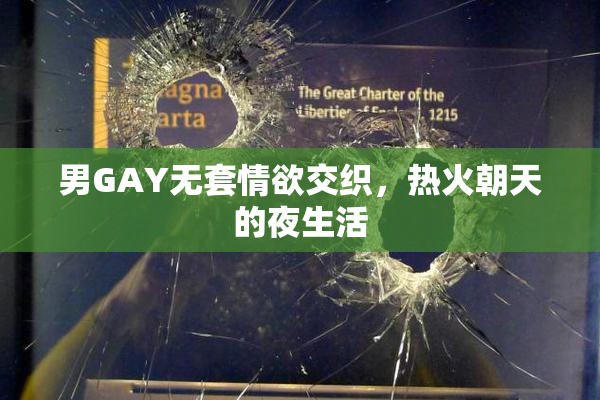 男GAY无套情欲交织，热火朝天的夜生活