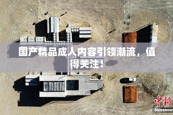 国产精品成人内容引领潮流，值得关注！