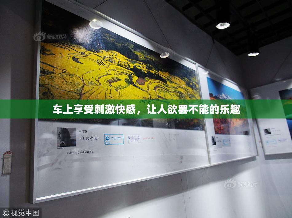 车上享受刺激快感，让人欲罢不能的乐趣