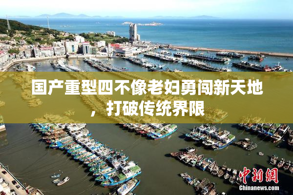 国产重型四不像老妇勇闯新天地，打破传统界限