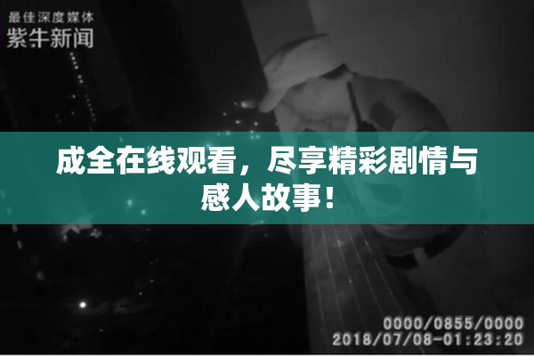 成全在线观看，尽享精彩剧情与感人故事！