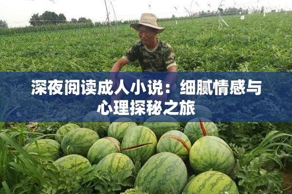 深夜阅读成人小说：细腻情感与心理探秘之旅