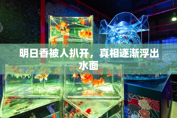明日香被人扒开，真相逐渐浮出水面