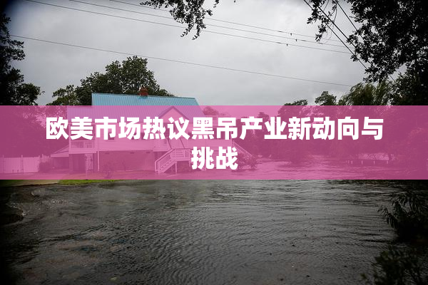 欧美市场热议黑吊产业新动向与挑战
