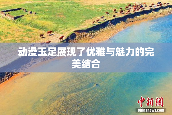 动漫玉足展现了优雅与魅力的完美结合