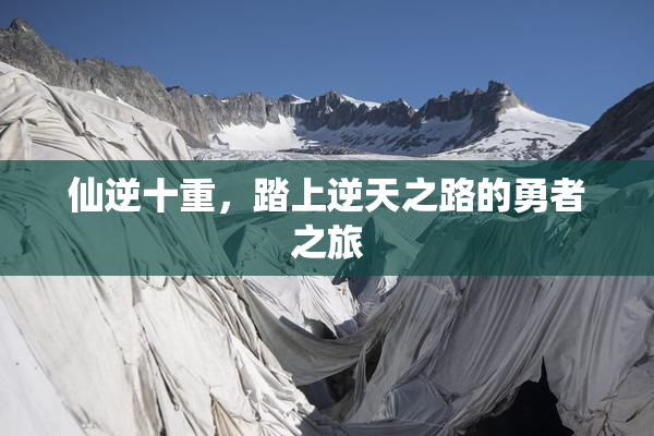 仙逆十重，踏上逆天之路的勇者之旅