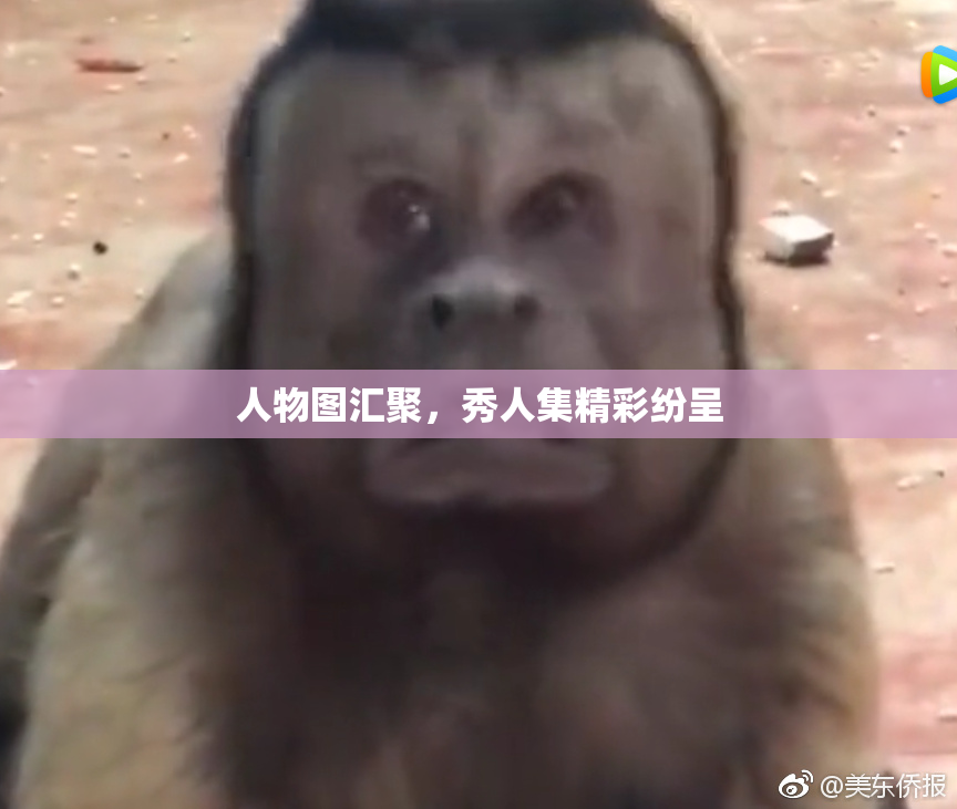 人物图汇聚，秀人集精彩纷呈