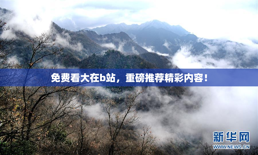 免费看大在b站，重磅推荐精彩内容！