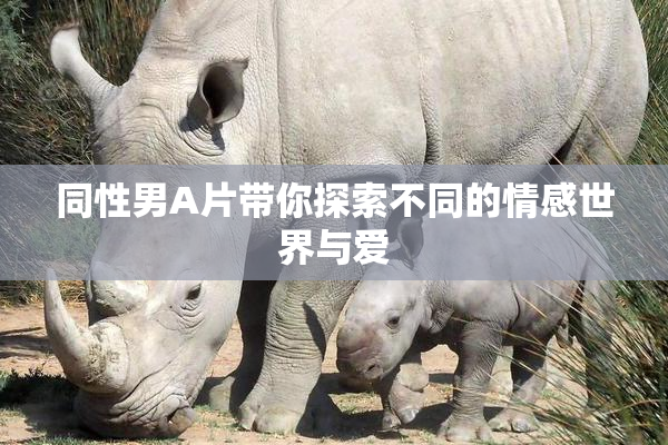 同性男A片带你探索不同的情感世界与爱