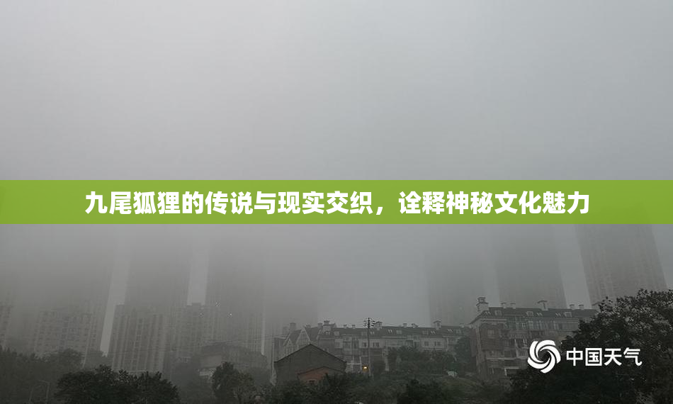 九尾狐狸的传说与现实交织，诠释神秘文化魅力