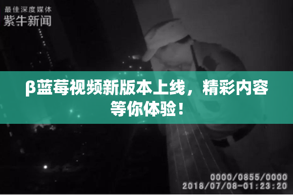 β蓝莓视频新版本上线，精彩内容等你体验！