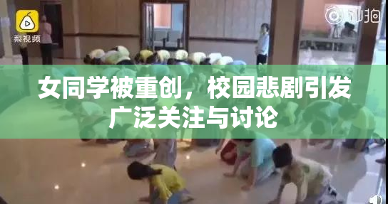 女同学被重创，校园悲剧引发广泛关注与讨论