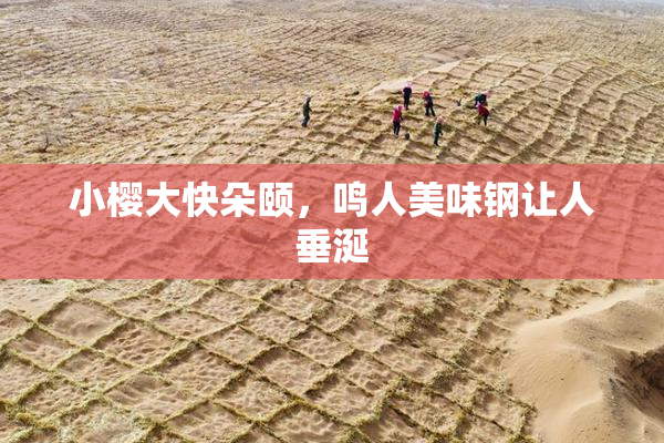小樱大快朵颐，鸣人美味钢让人垂涎