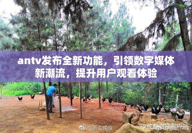 antv发布全新功能，引领数字媒体新潮流，提升用户观看体验