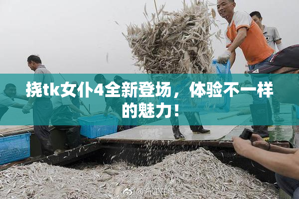 挠tk女仆4全新登场，体验不一样的魅力！