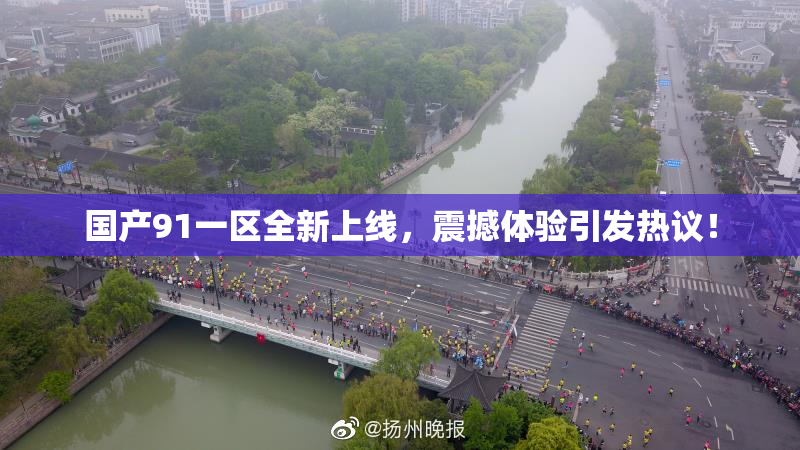 国产91一区全新上线，震撼体验引发热议！