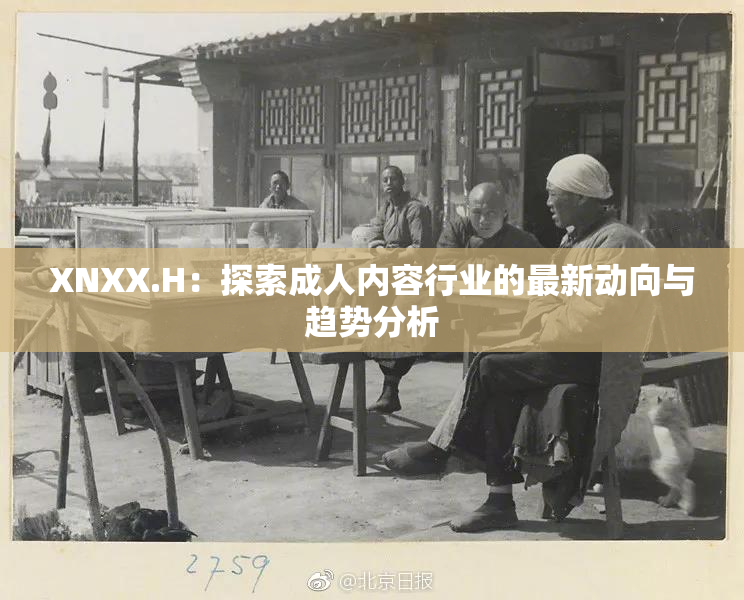 XNXX.H：探索成人内容行业的最新动向与趋势分析