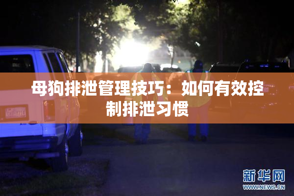 母狗排泄管理技巧：如何有效控制排泄习惯