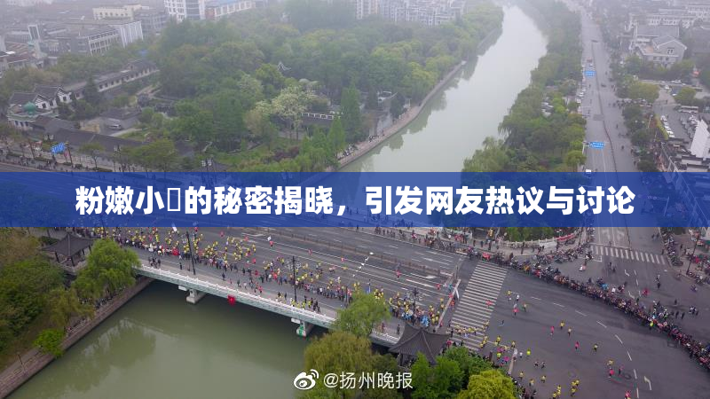 粉嫩小泬的秘密揭晓，引发网友热议与讨论