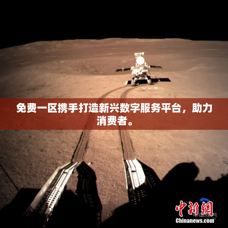免费一区携手打造新兴数字服务平台，助力消费者。