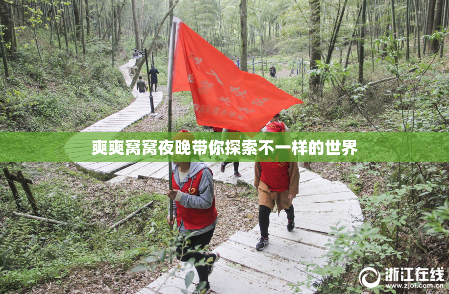爽爽窝窝夜晚带你探索不一样的世界