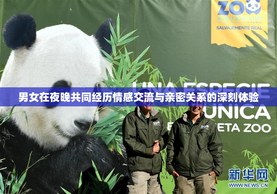男女在夜晚共同经历情感交流与亲密关系的深刻体验