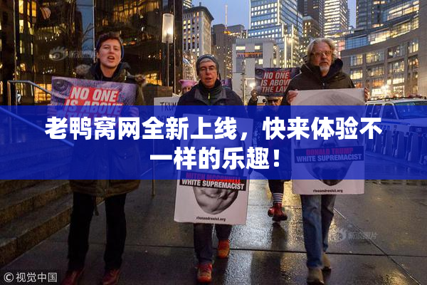 老鸭窝网全新上线，快来体验不一样的乐趣！