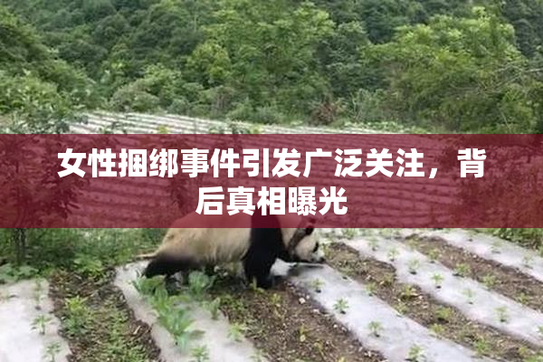女性捆绑事件引发广泛关注，背后真相曝光