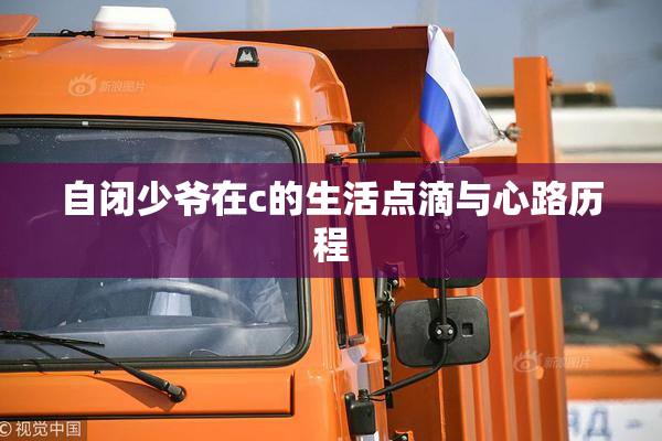 自闭少爷在c的生活点滴与心路历程