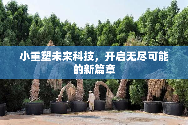 小重塑未来科技，开启无尽可能的新篇章