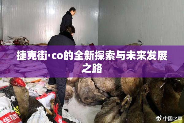 捷克街·co的全新探索与未来发展之路