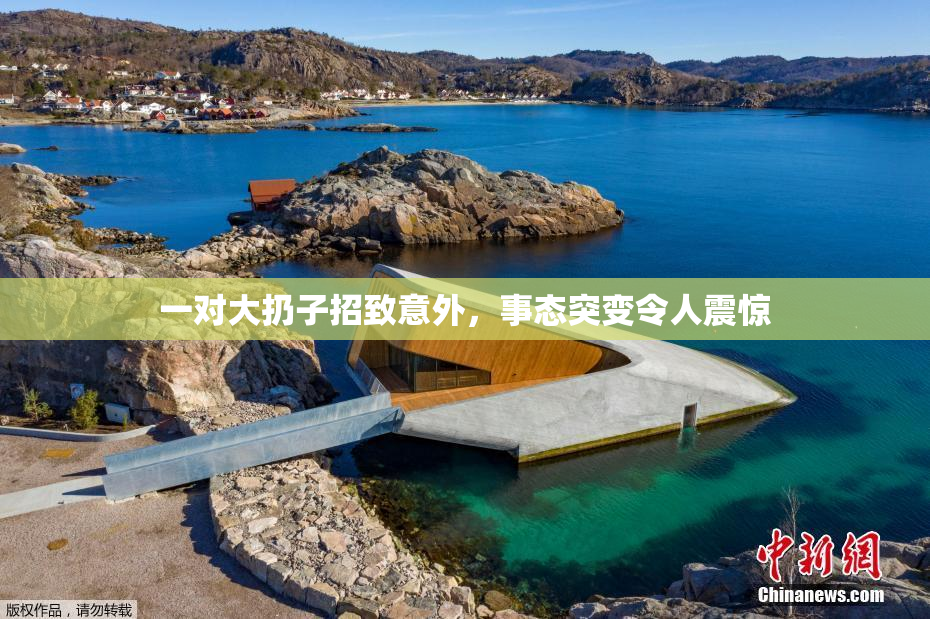 一对大扔子招致意外，事态突变令人震惊