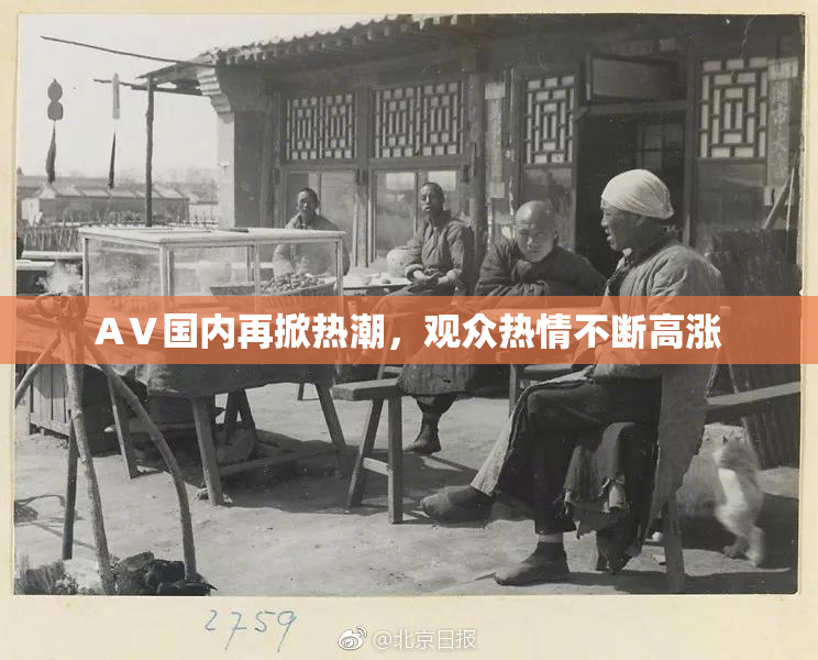 AⅤ国内再掀热潮，观众热情不断高涨