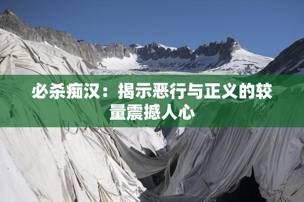 必杀痴汉：揭示恶行与正义的较量震撼人心