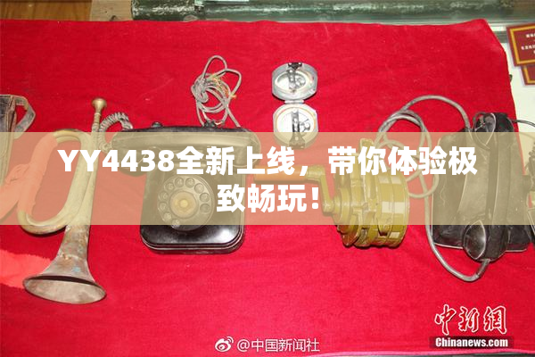 YY4438全新上线，带你体验极致畅玩！