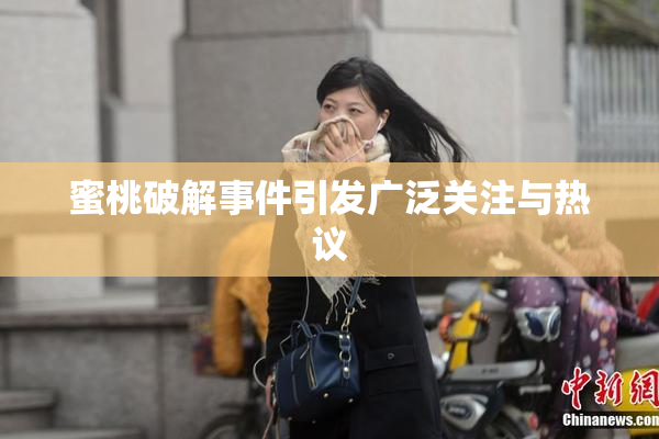 蜜桃破解事件引发广泛关注与热议