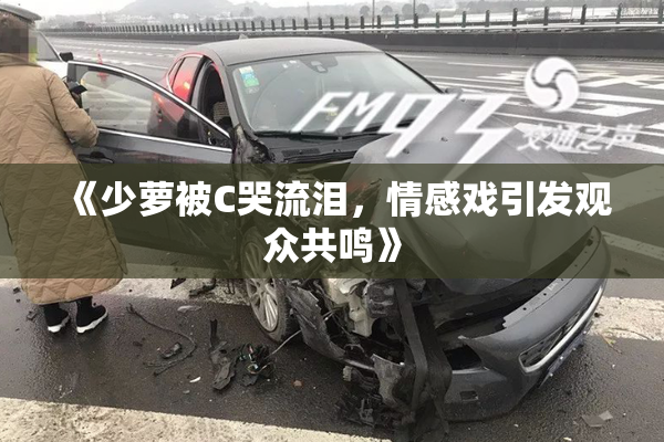 《少萝被C哭流泪，情感戏引发观众共鸣》