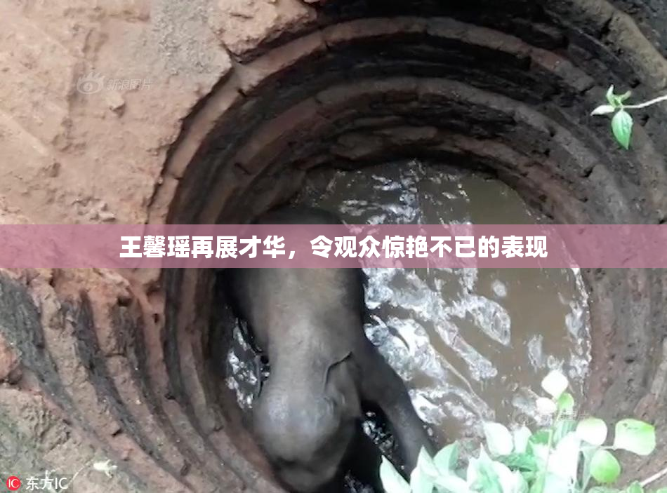 王馨瑶再展才华，令观众惊艳不已的表现