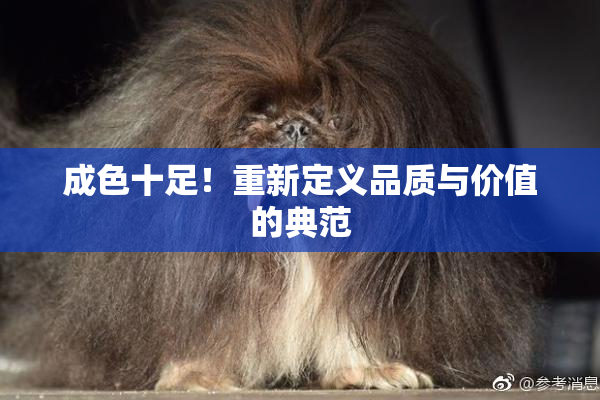 成色十足！重新定义品质与价值的典范