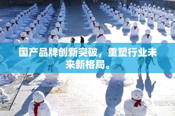 国产品牌创新突破，重塑行业未来新格局。