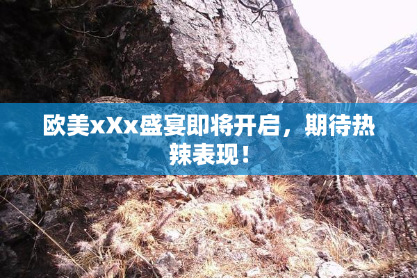 欧美xXx盛宴即将开启，期待热辣表现！