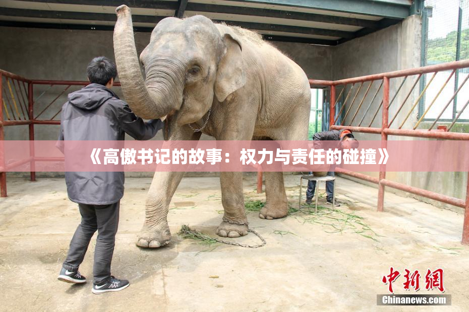 《高傲书记的故事：权力与责任的碰撞》