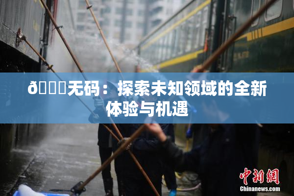 🔞无码：探索未知领域的全新体验与机遇