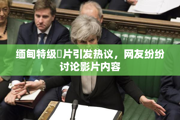 缅甸特级婬片引发热议，网友纷纷讨论影片内容
