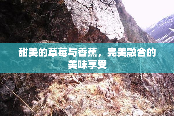 甜美的草莓与香蕉，完美融合的美味享受