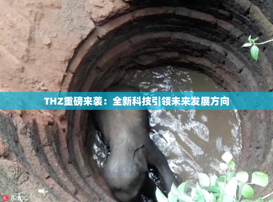THZ重磅来袭：全新科技引领未来发展方向