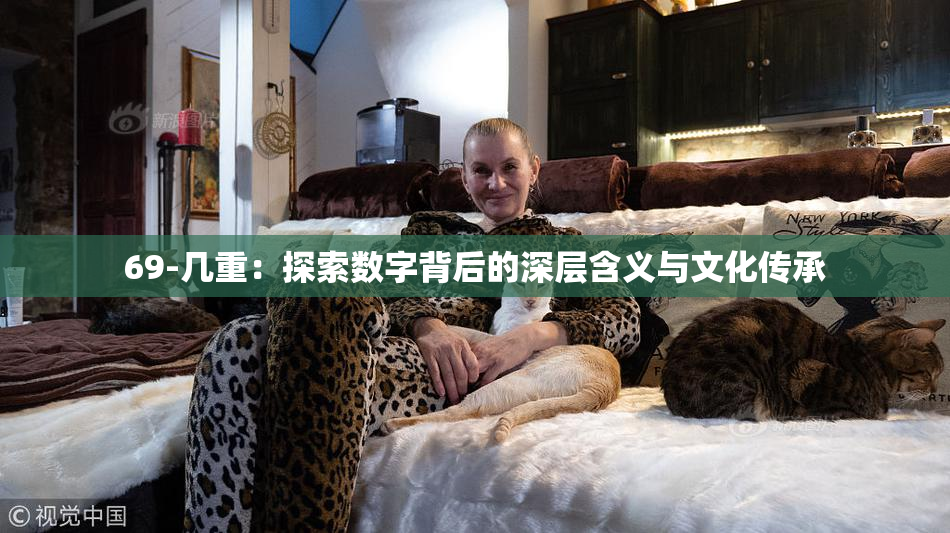 69-几重：探索数字背后的深层含义与文化传承